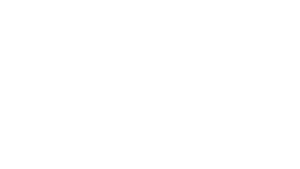 TVP PPF Manual